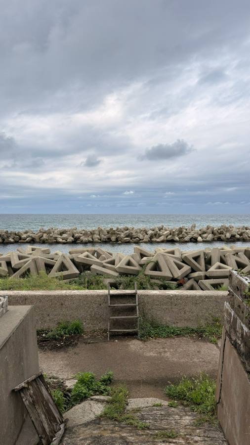 小屋越しに見るテトラポッドの海