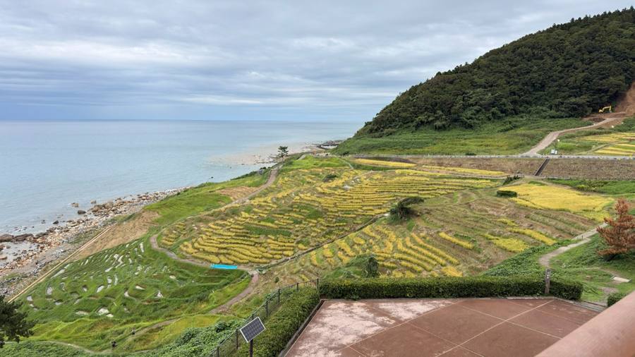 白米千枚田と日本海の棚田風景