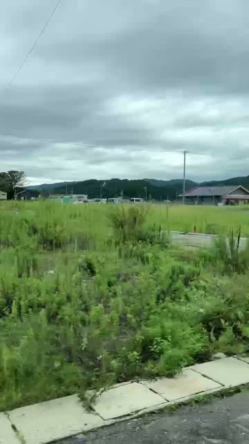 車窓から見た緑の空き地