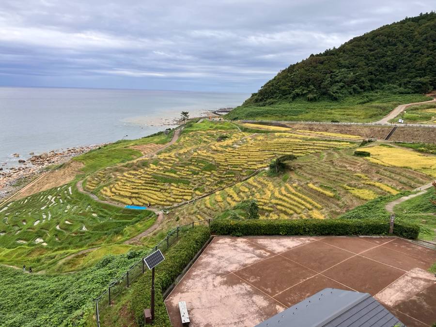 棚田と海を見下ろす絶景